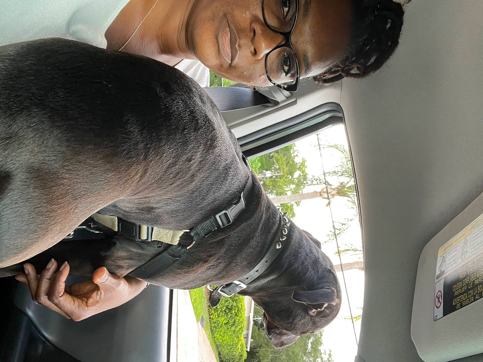 Kobi joined the competition — help win amazing prizes! auto_part, automotive_window_part, carnivore, collar, companion_dog, dog, dog_breed, dog_collar, eyewear, gesture, guard_dog, happy, personal_protective_equipment, smile, sporting_group, vehicle_door, windshield, working_animal