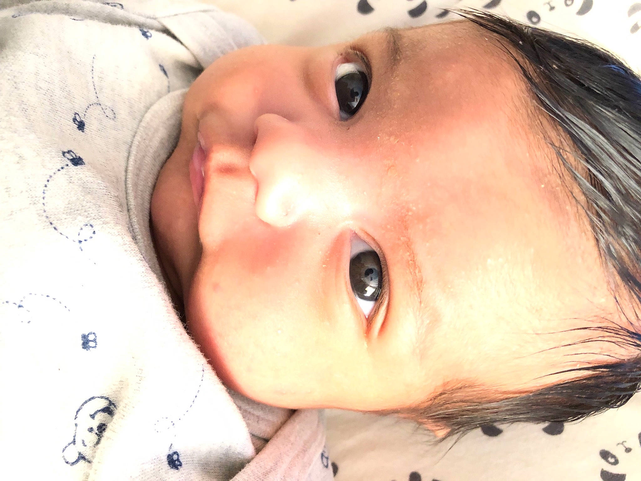 Lyno a rejoint le concours — aidez-le/la à gagner de superbes lots ! baby, cheek, chin, eye, eyebrow, eyelash, face, forehead, happy, headgear, iris, jaw, lip, mouth, neck, nose, organ, person, skin, smile