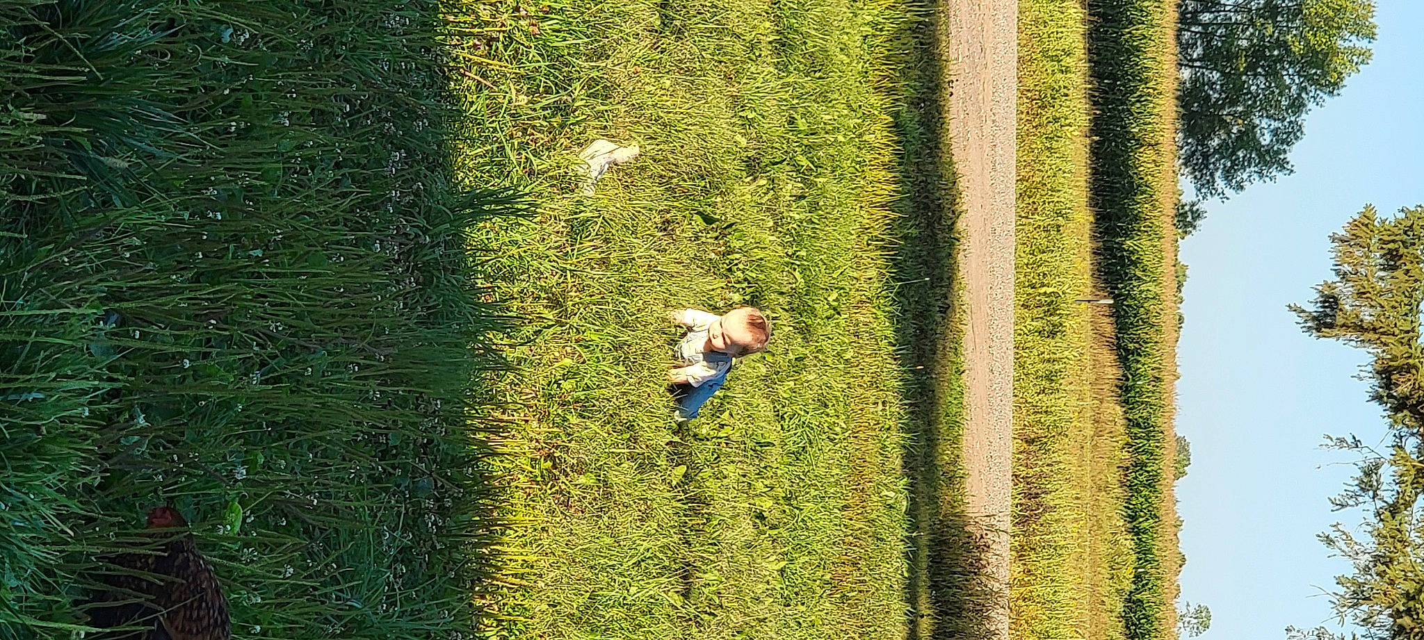 Deegan is registered to the contest to win money with this photo: field, fun, garden, grass, grass_family, grassland, groundcover, hedge, landscape, lawn, leisure, meadow, natural_landscape, people_in_nature, person, plant, recreation, shadow, shrub, toy