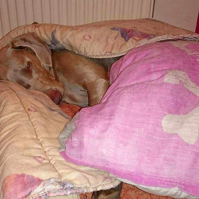 I'luna participe au concours pour gagner de l'argent avec cette photo :