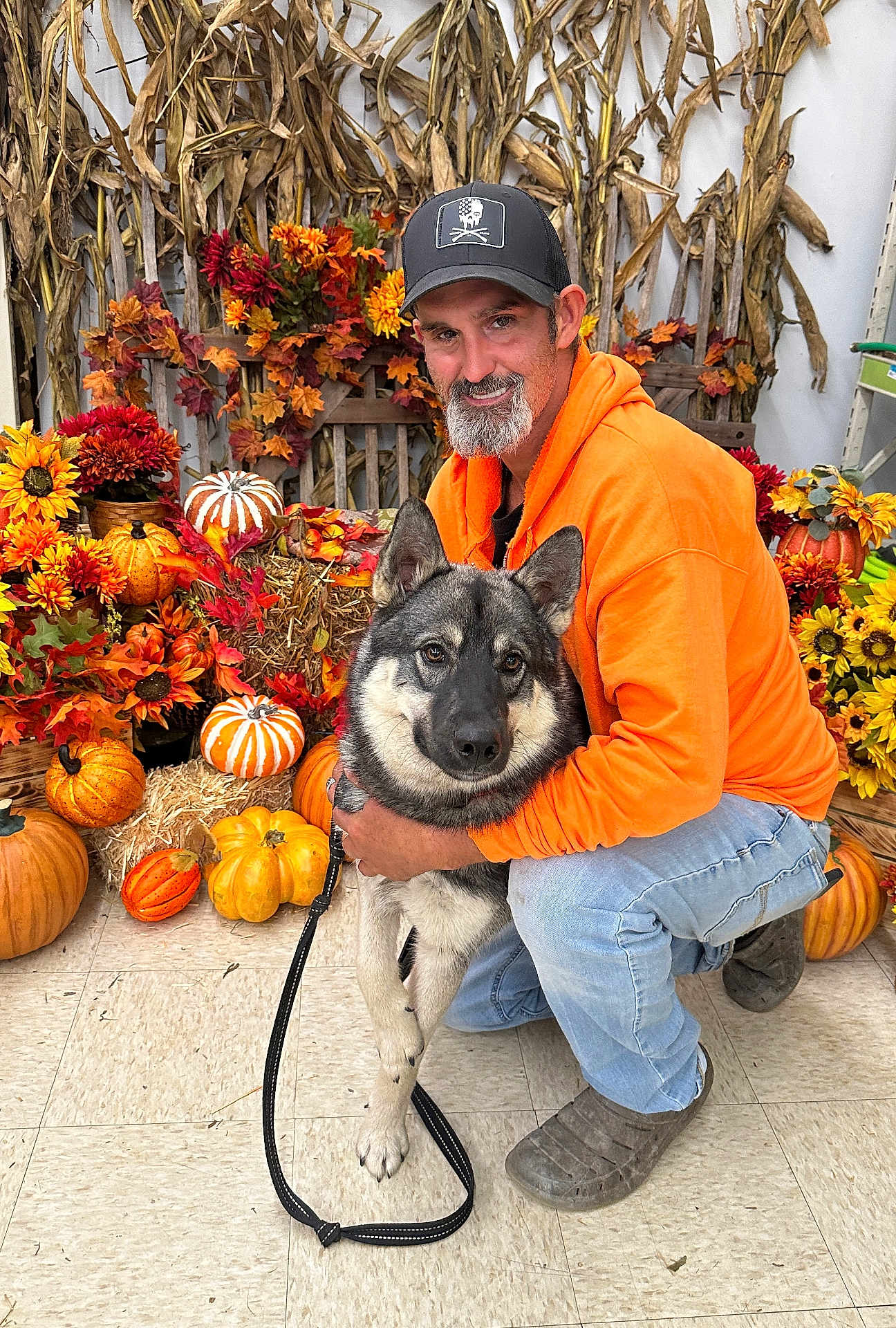 Maxx is registered to the contest to win money with this photo: man, dog, pumpkins, flowers, cornstalks, orange_hoodie, leash, indoor, fall, autumn, smiling, beard, cap, jeans, boots, decor, hay, black_and_white_dog, crouching, pet