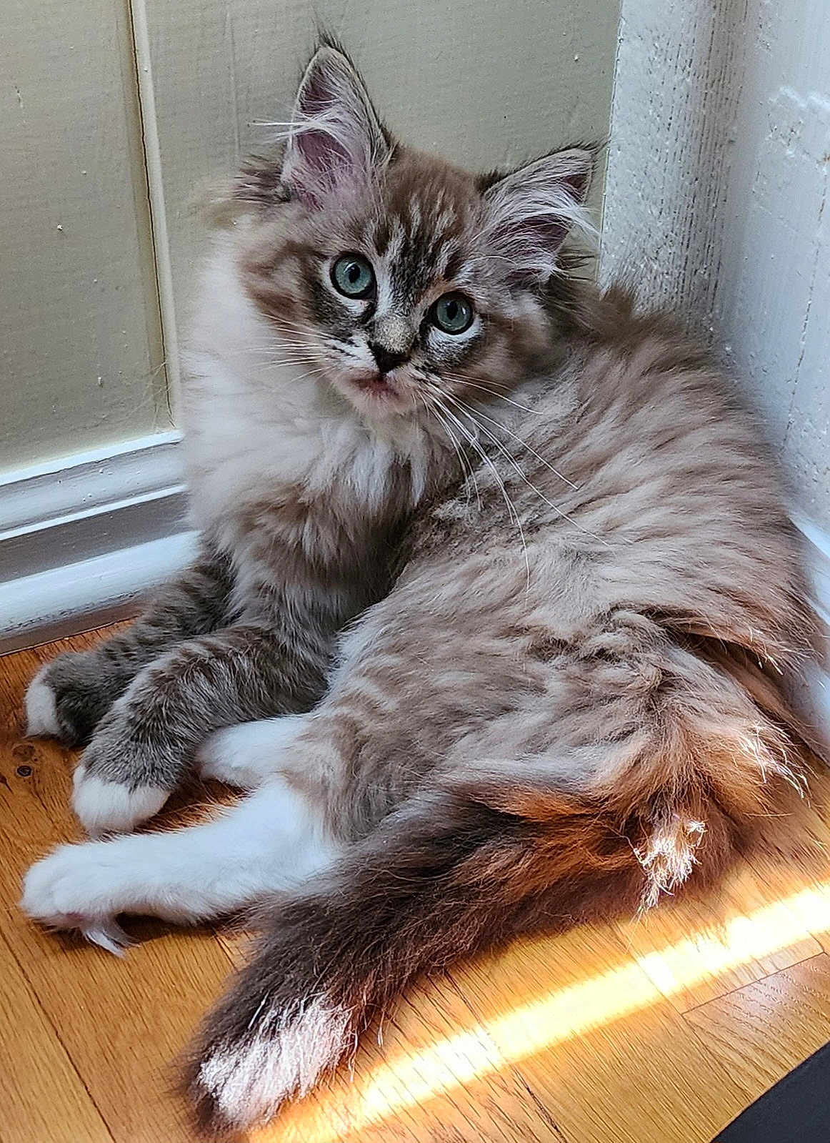 Lucy