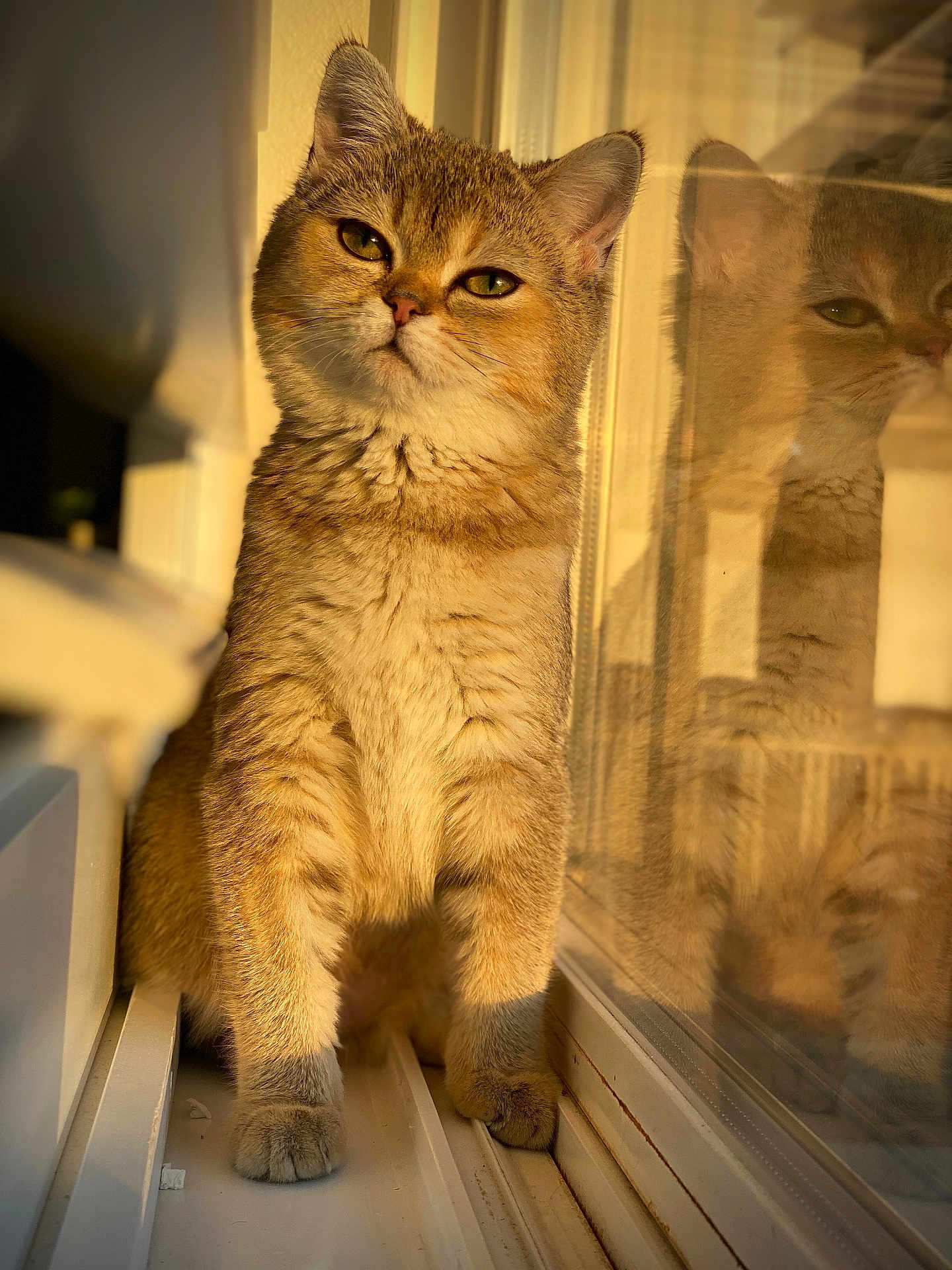 Mika