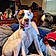Allie Mae