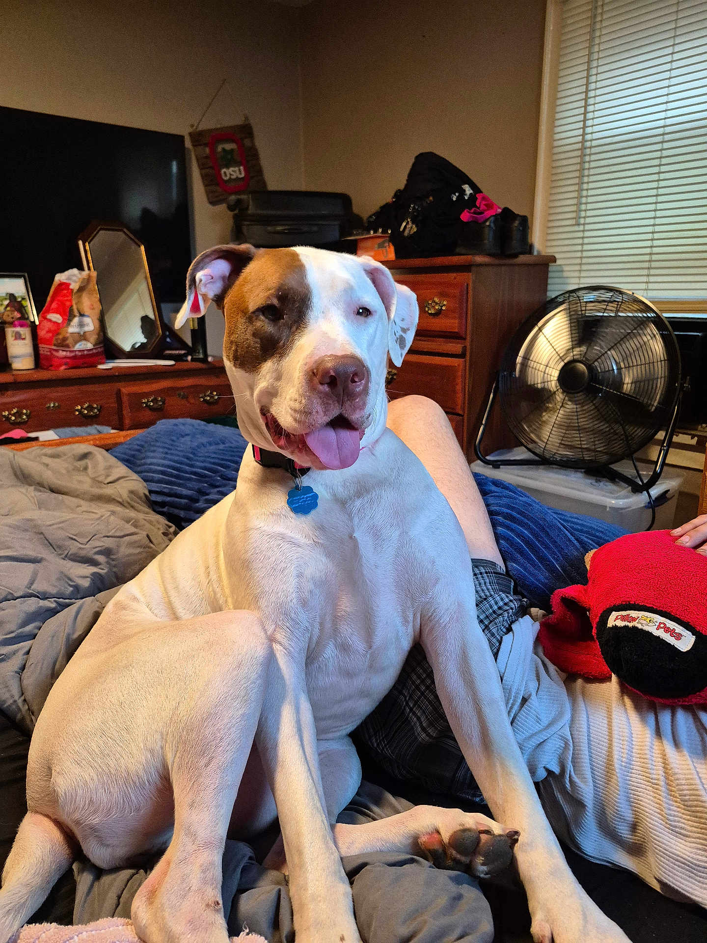 Allie Mae