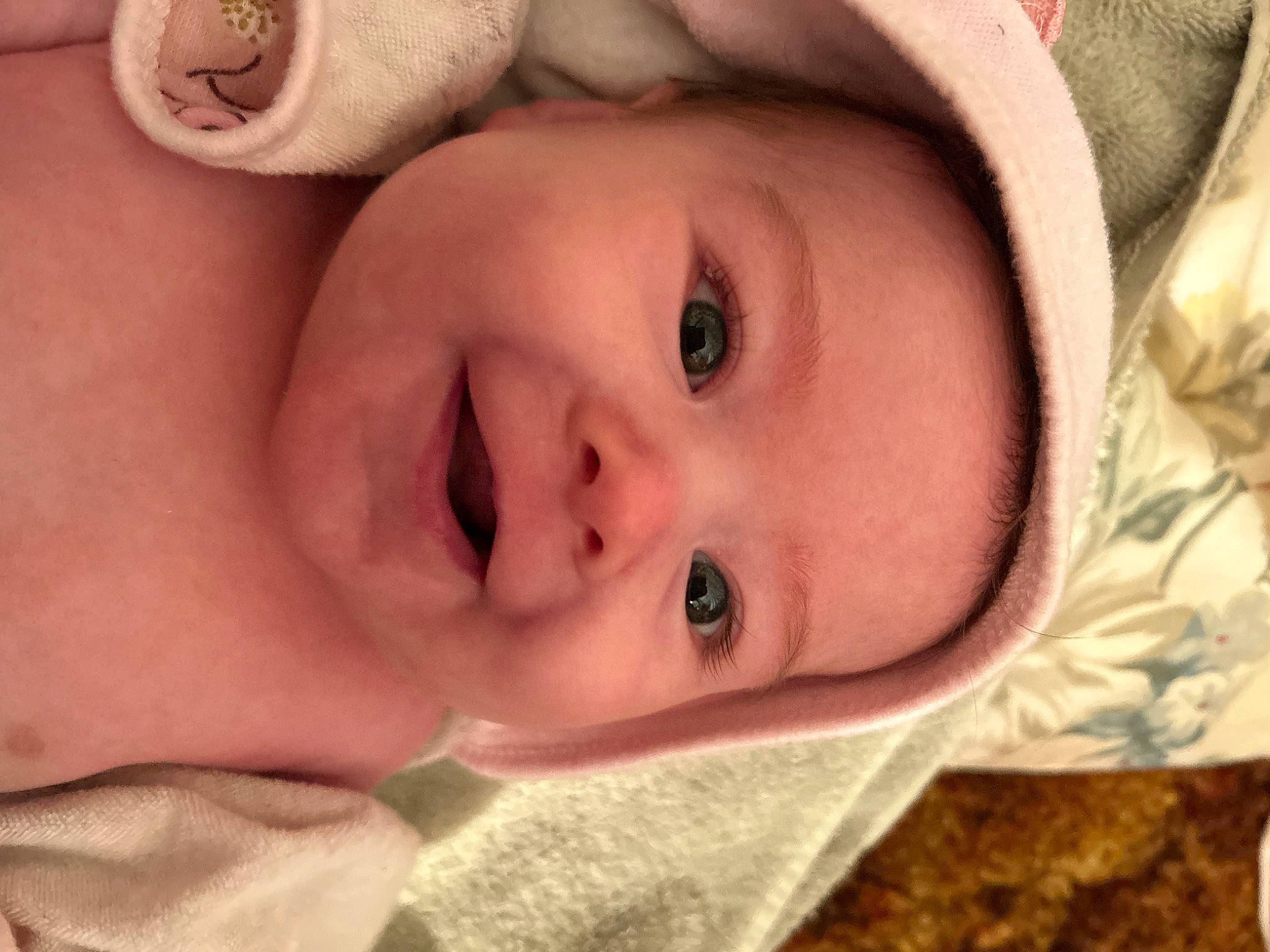 Giavanna is registered to the contest to win money with this photo: cheek, chin, eye, eyebrow, eyelash, face, forehead, head, headwear, human_body, iris, lip, mammal, mouth, neck, nose, person, plant, skin, smile