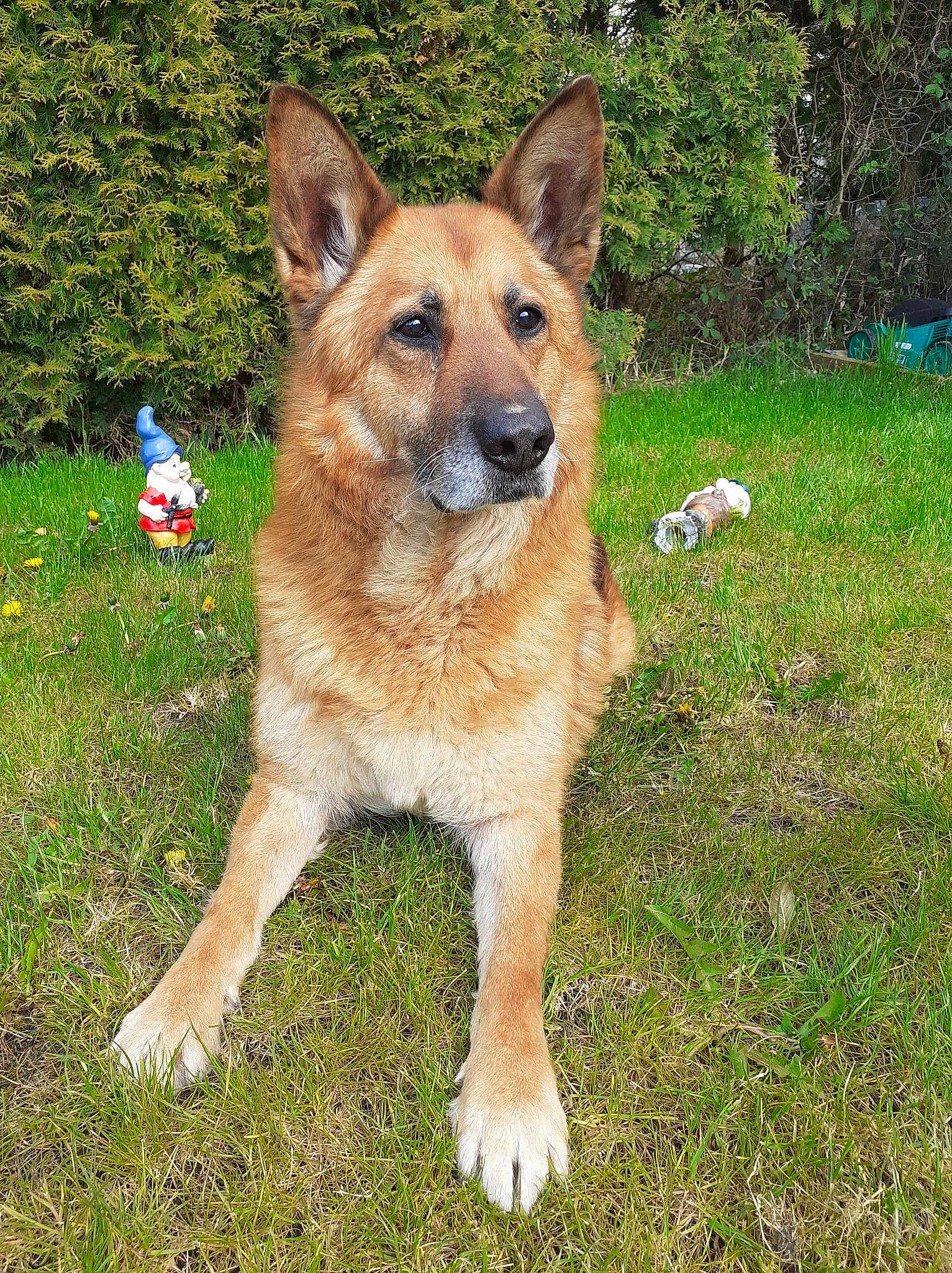 Max