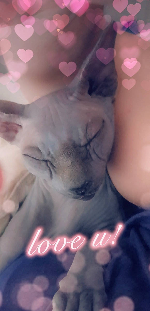 Juliette a rejoint le concours — aidez-le/la à gagner de superbes lots ! cat, child, ear, finger, flesh, font, gesture, hand, illustration, lip, love, mouth, nose, photo_caption, photography, pink