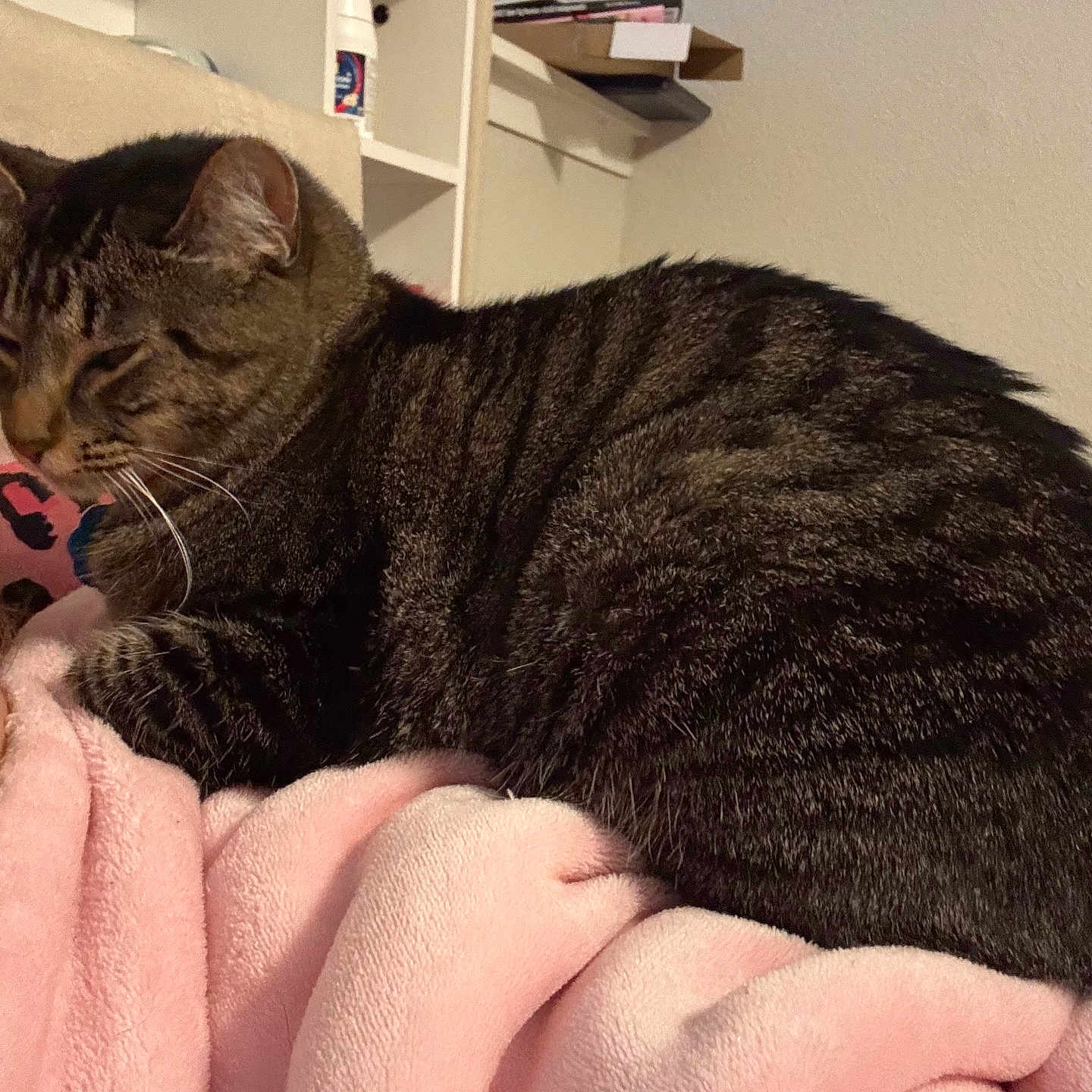 Chloe