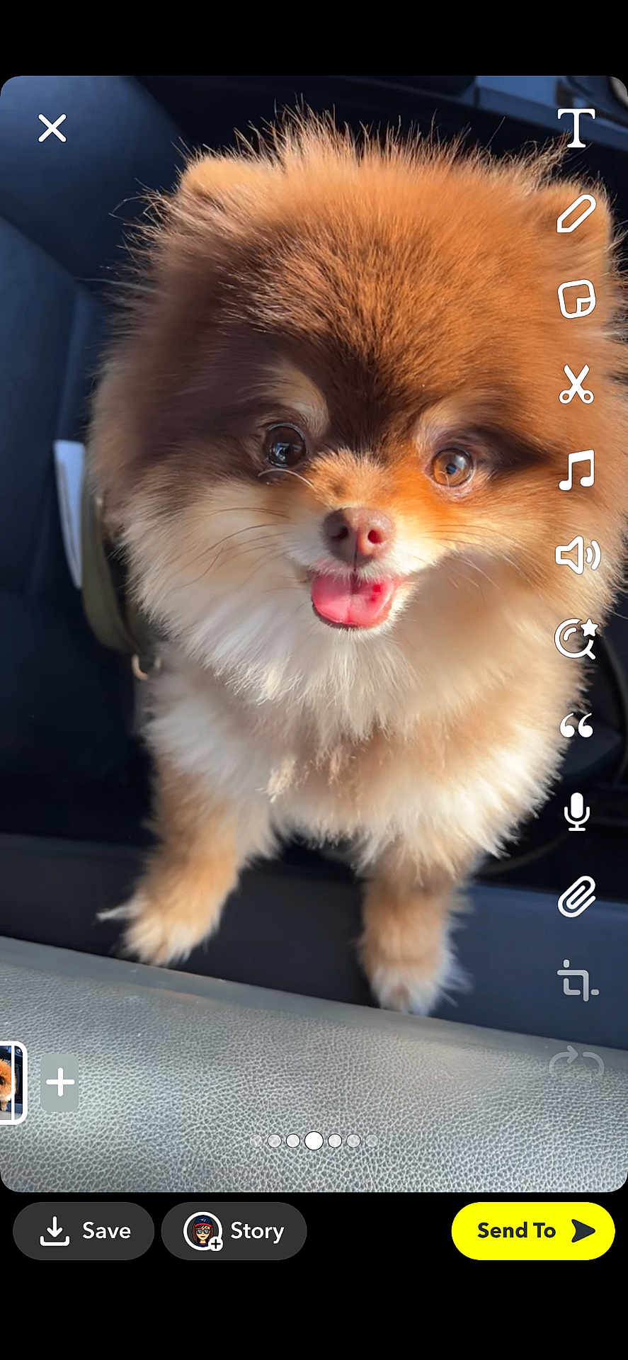 Brady