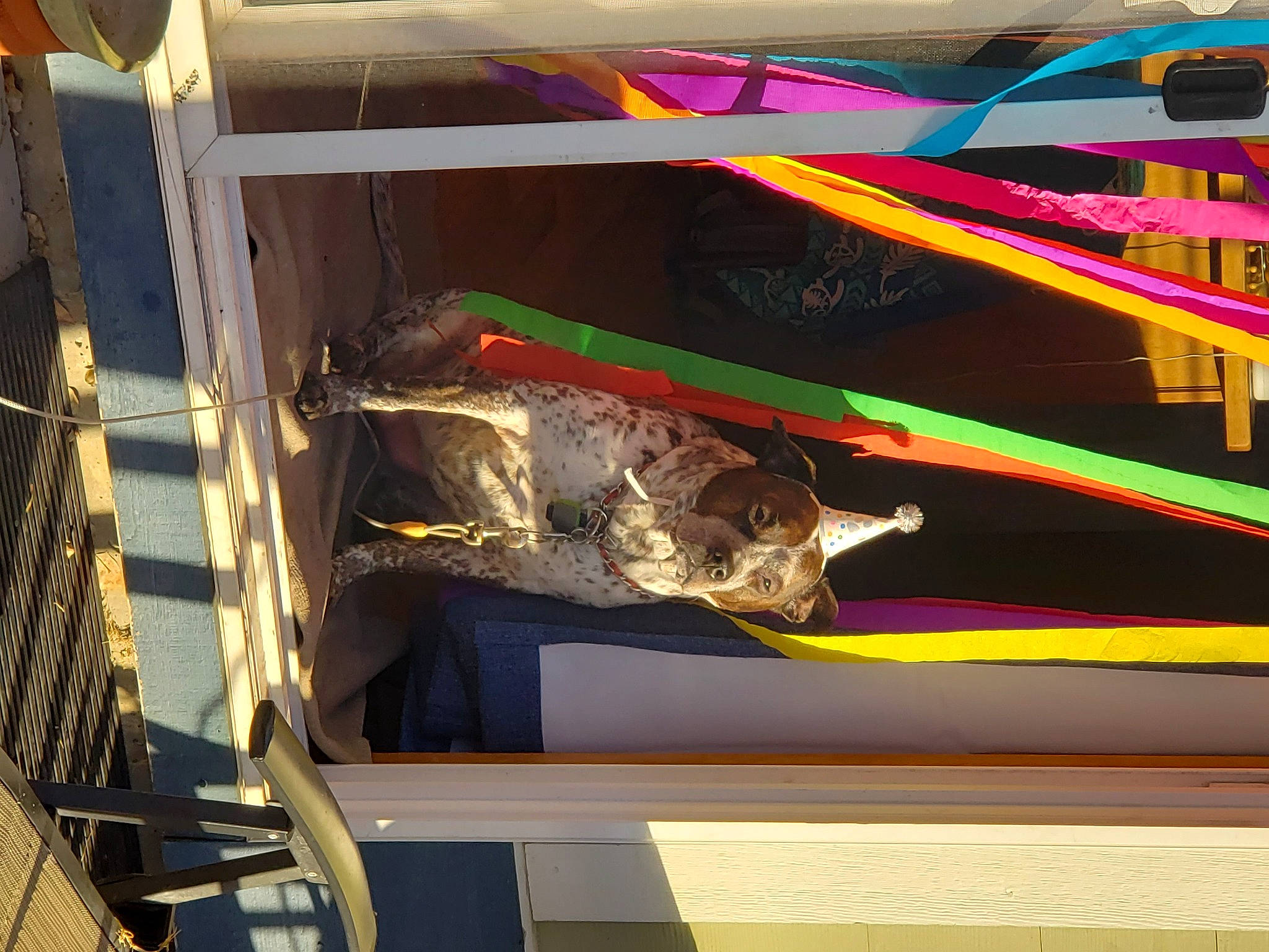 Harley Rose joined the competition — help win amazing prizes! art, magenta, rectangle, visual_arts, wood