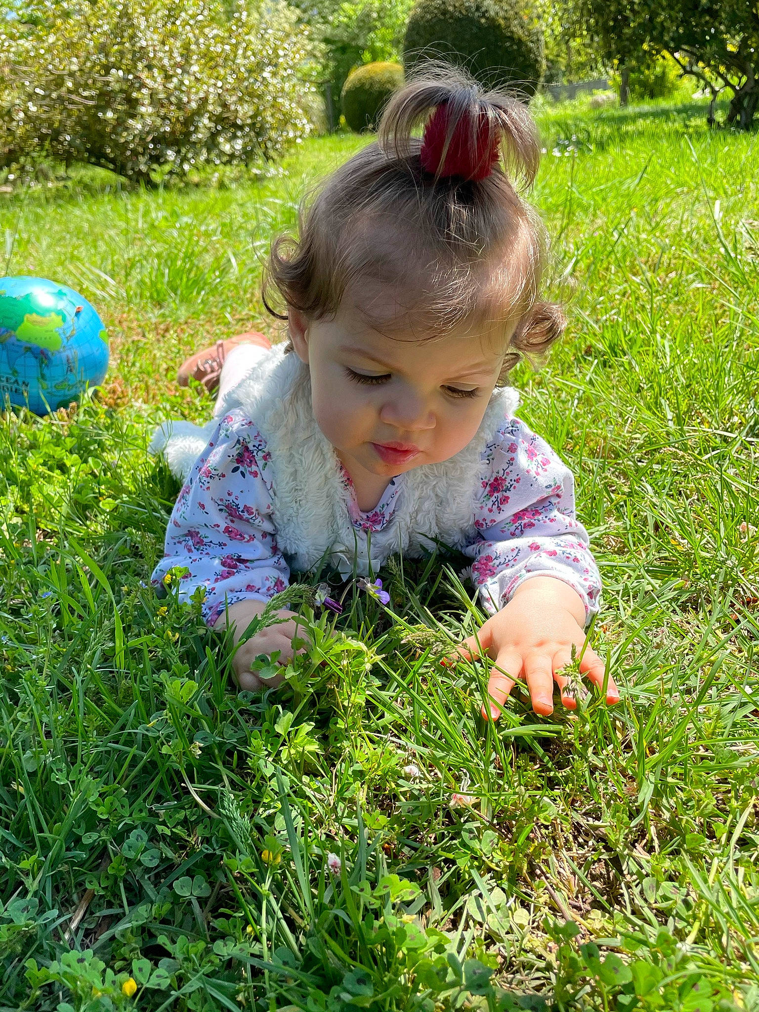 Louna participe au concours pour gagner de l'argent avec cette photo : baby, baby_toddler_clothing, balloon, botany, child, garden, grass, grass_family, grassland, green, groundcover, happy, lawn, meadow, people_in_nature, person, plant, prairie, soil, terrestrial_plant