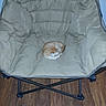 cat, orange_cat, curled_up, chair, cushion, indoor, wooden_floor, pet, sleeping, cozy, furniture, domestic_animal, resting, soft_texture, feline, compact, quiet, comfortable, home, relaxed