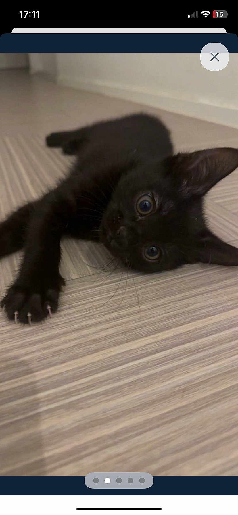 Prince