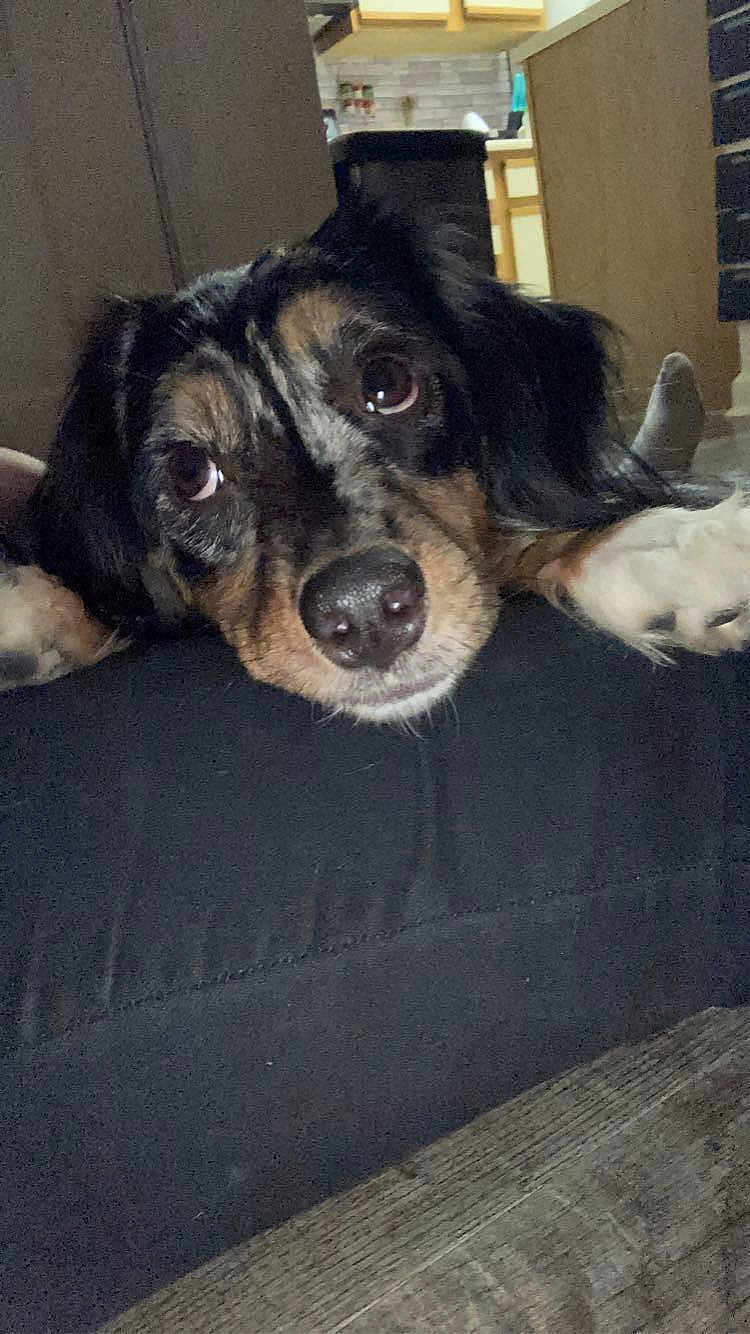 Rosie