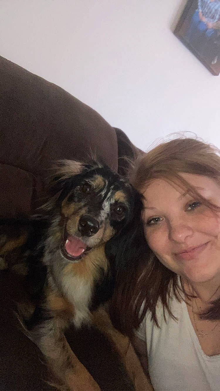 Rosie is registered to the contest to win money with this photo: carnivore, comfort, companion_dog, dog, dog_breed, ear, eyelash, face, fawn, fur, hair, happy, head, jaw, long_hair, nose, selfie, smile, snout, working_animal