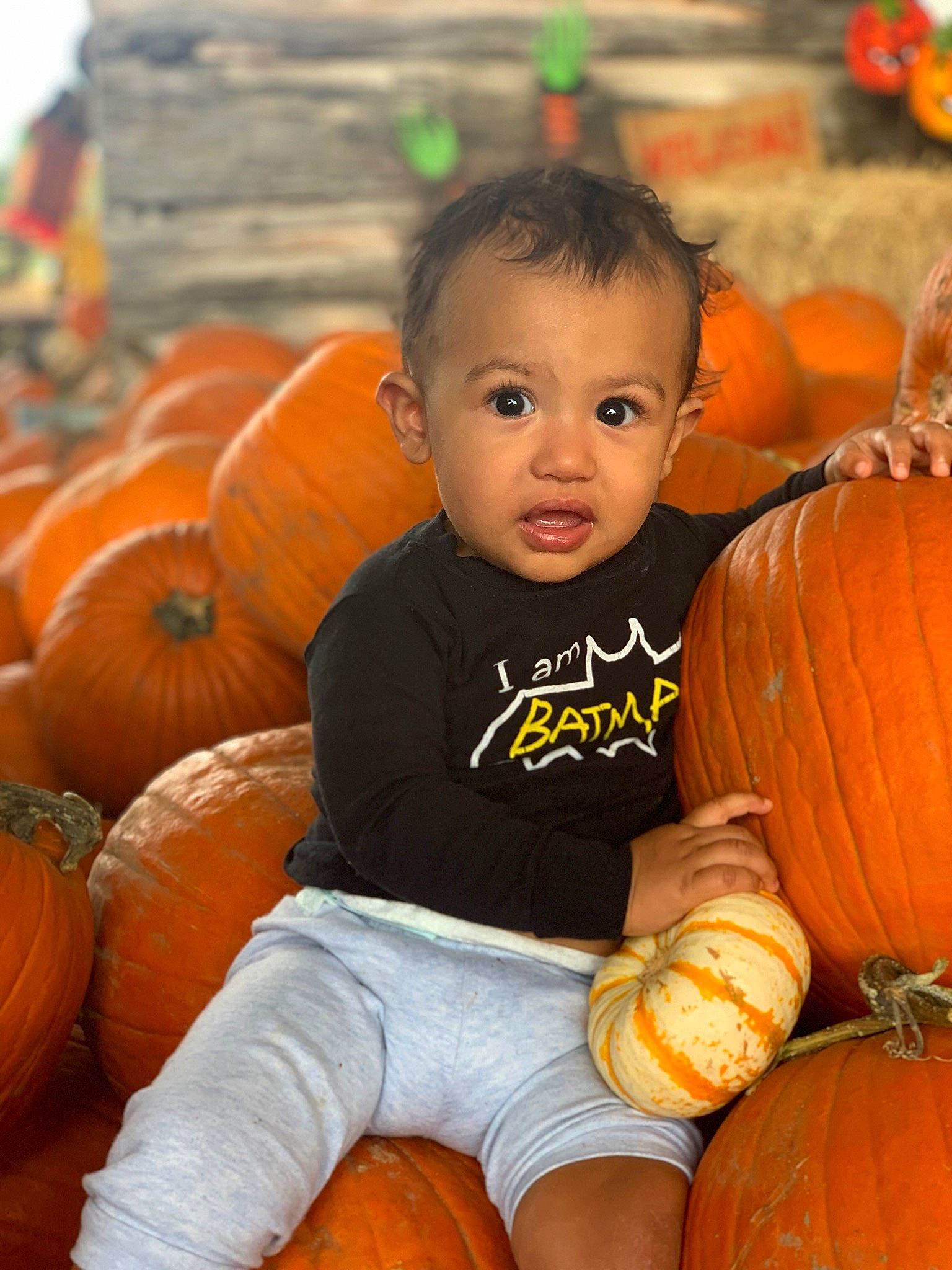 Ky-mani joined the competition — help win amazing prizes! _and_melon_family, _gourd, autumn, calabaza, child, cucumber, cucurbita, food, fruit, gourd, local_food, natural_foods, orange, person, plant, produce, pumpkin, smile, squash, toddler