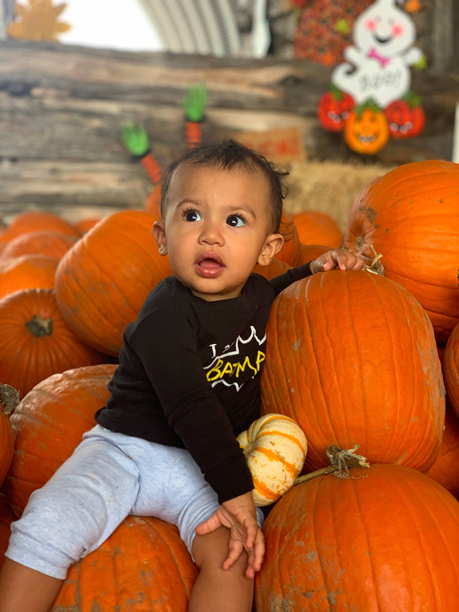 Ky-mani joined the competition — help win amazing prizes! _and_melon_family, _gourd, autumn, calabaza, child, cucumber, cucurbita, food, fruit, gourd, natural_foods, orange, people, person, plant, pumpkin, smile, squash, surprise, toddler