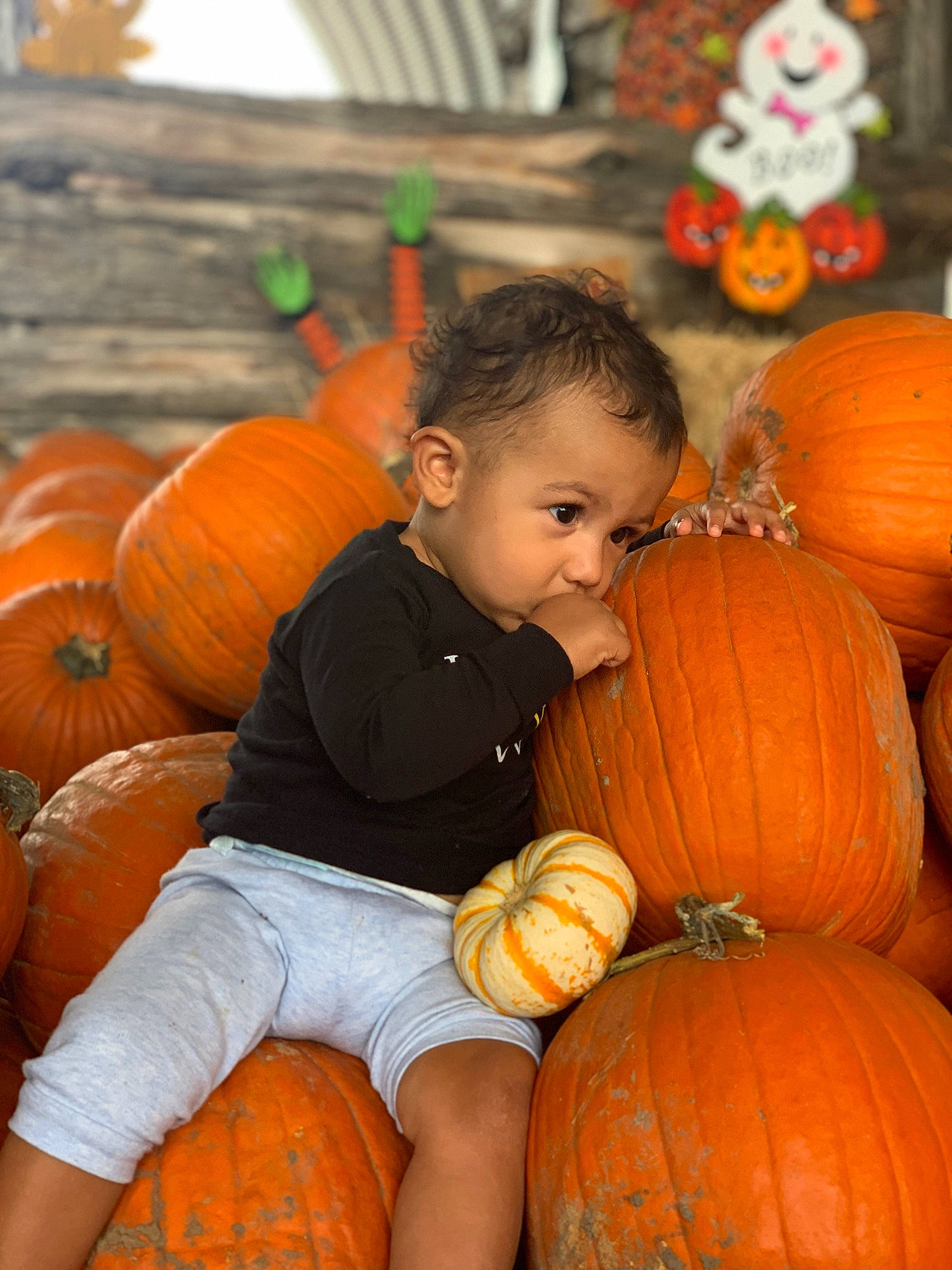 Ky-mani is registered to the contest to win money with this photo: _and_melon_family, _gourd, calabaza, child, cucumber, cucurbita, food, fruit, gourd, local_food, natural_foods, orange, person, plant, produce, pumpkin, smile, squash, toddler, tradition
