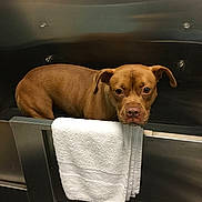 Terra is registered to the contest to win money with this photo: