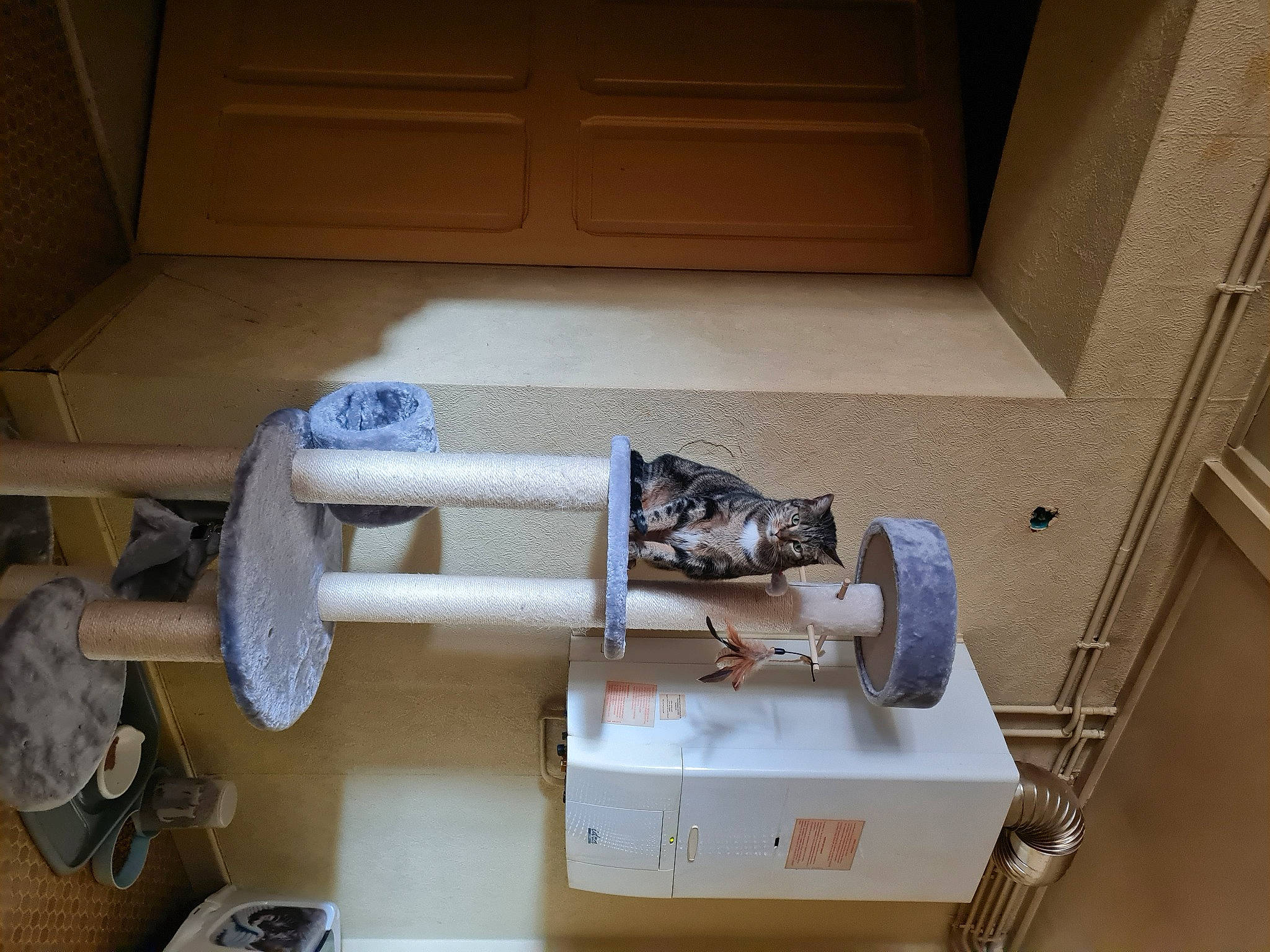 Nebula participe au concours pour gagner de l'argent avec cette photo : ceiling, electrical_wiring, engineering, flooring, gas, hardwood, machine, metal, office_equipment, plastic, plywood, room, shelf, shelving, tool, wood