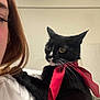 abyssinian, accessories, adult, animal, blackcat, bowtie, cat, face, female, formalwear, glasses, head, kitten, manx, person, pet, photography, portrait, tie, woman