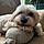 Mylo