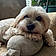 Mylo