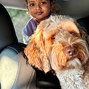 Nyra joined the competition — help win amazing prizes! child, dog, car_interior, seat, leather_seat, pet, young_child, curly_hair, brown_hair, portrait, indoor, animal, furry, cute, looking_at_camera, vehicle, light, shadow, face, expression