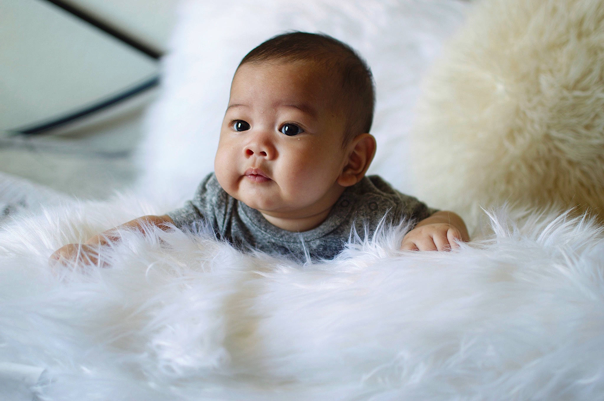 Makaio joined the competition — help win amazing prizes! baby, cheek, child, eye, face, fur, fur_clothing, head, iris, lip, nose, person, photography, portrait_photography, skin, smile, textile, toddler, white