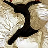 cat, black_cat, bed, blanket, white_bedding, sleeping, stretched, cozy, fur, indoor, pet, animal, relaxation, comfort, soft, resting, tail, paw, domestic, feline