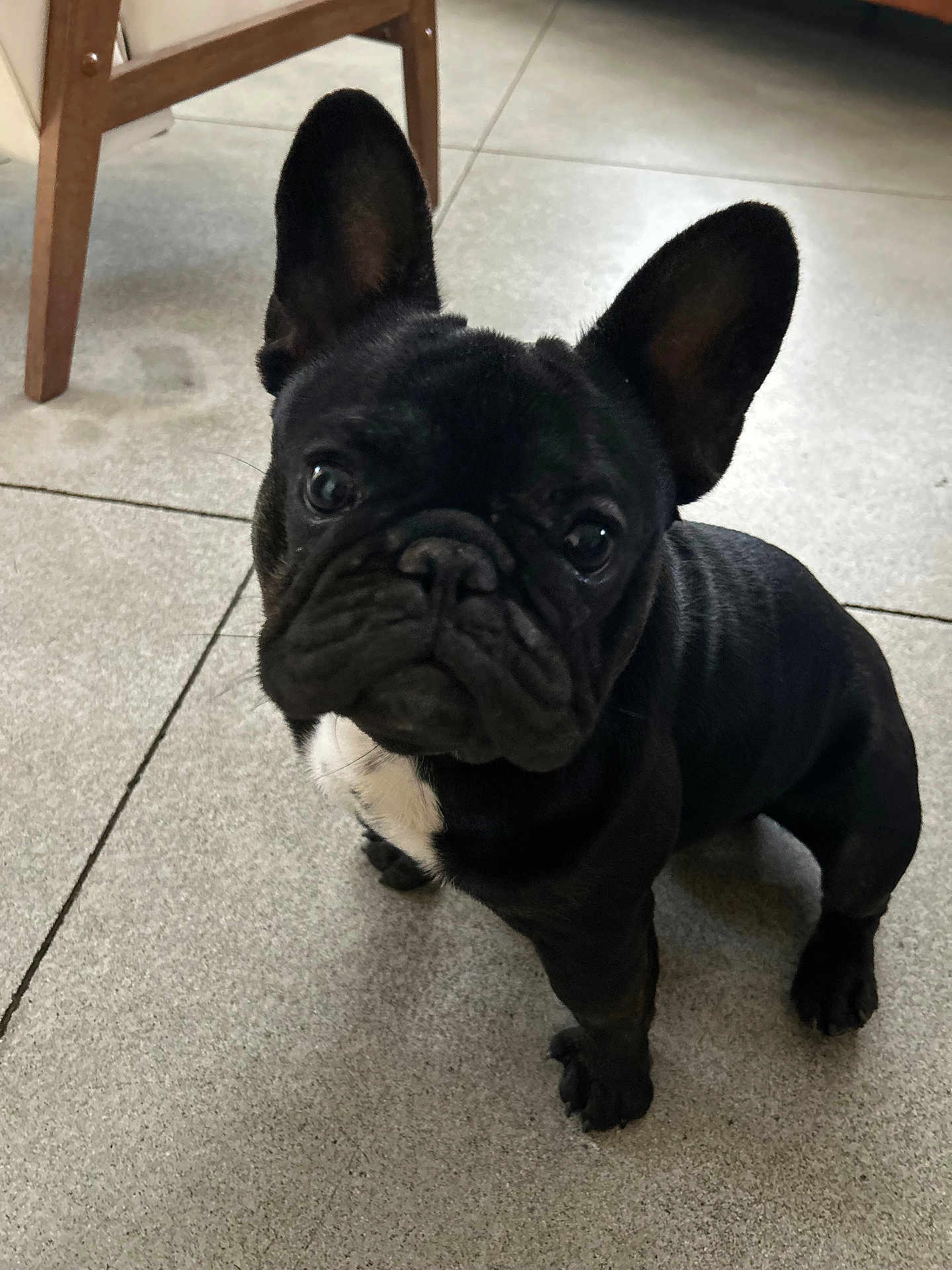 Luciano