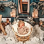 newborn, baby, basket, winter, snow, lantern, wooden_skis, decorations, cozy, blanket, hat, sleeping, holiday, festive, wicker, tree, indoor, soft_light, wrapped, peaceful