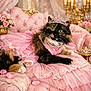 cat, calico_cat, tiara, pink_dress, pearls, sofa, velvet, lace, ruffles, roses, chandelier, jewelry, paw, portrait, luxury, cushion, princess, plush, pet_costume, indoor