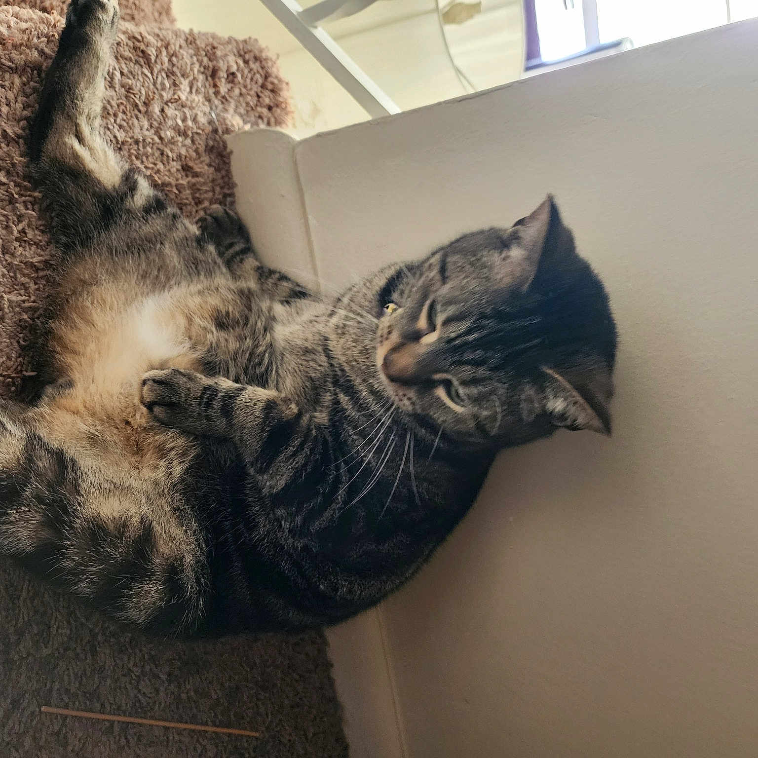 Simba