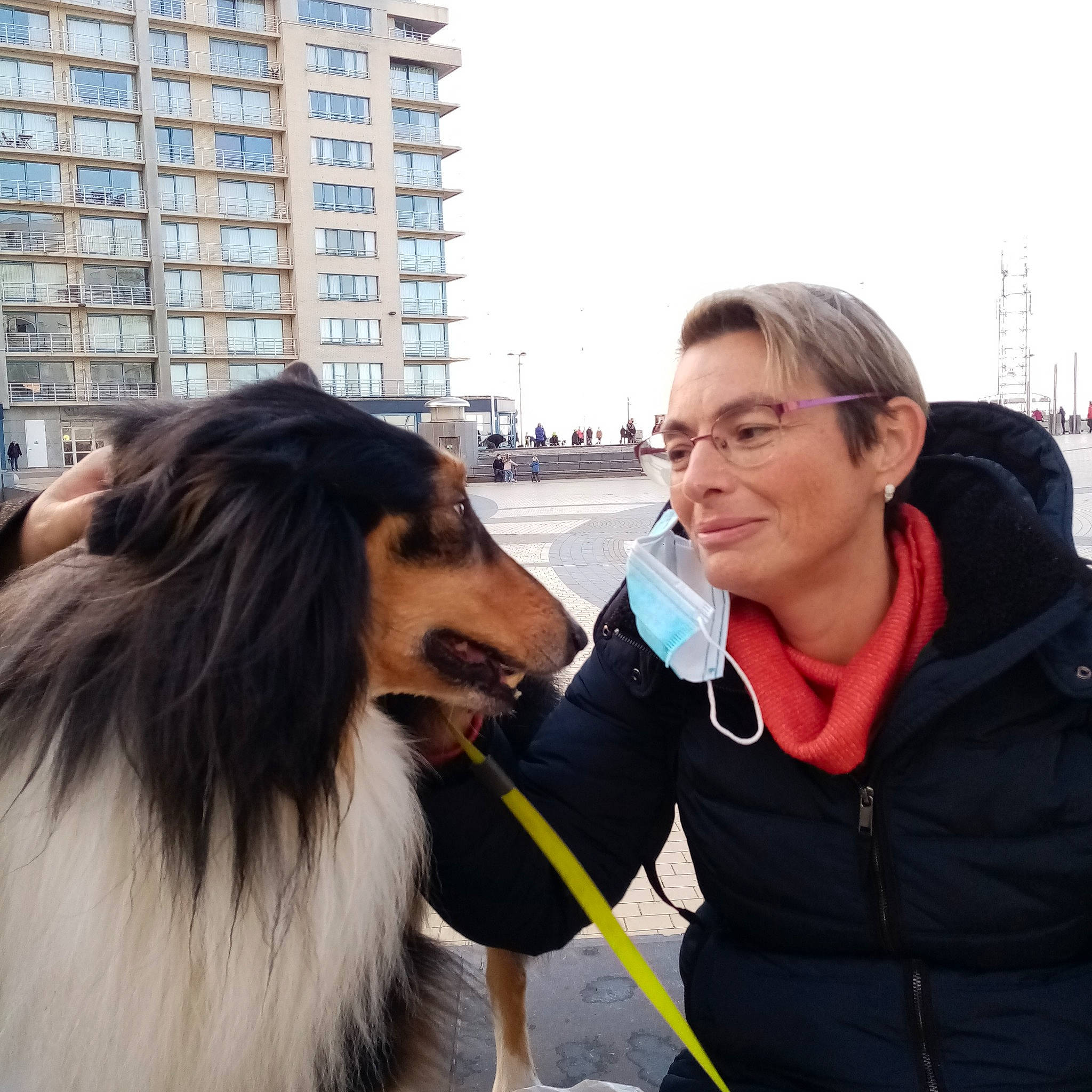 Filou participe au concours pour gagner de l'argent avec cette photo : building, carnivore, collie, companion_dog, dog, dog_breed, eyewear, fun, happy, long_hair, mammal, outerwear, rough_collie, shetland_sheepdog, sky, snout, sporting_group, street_fashion, vertebrate, window