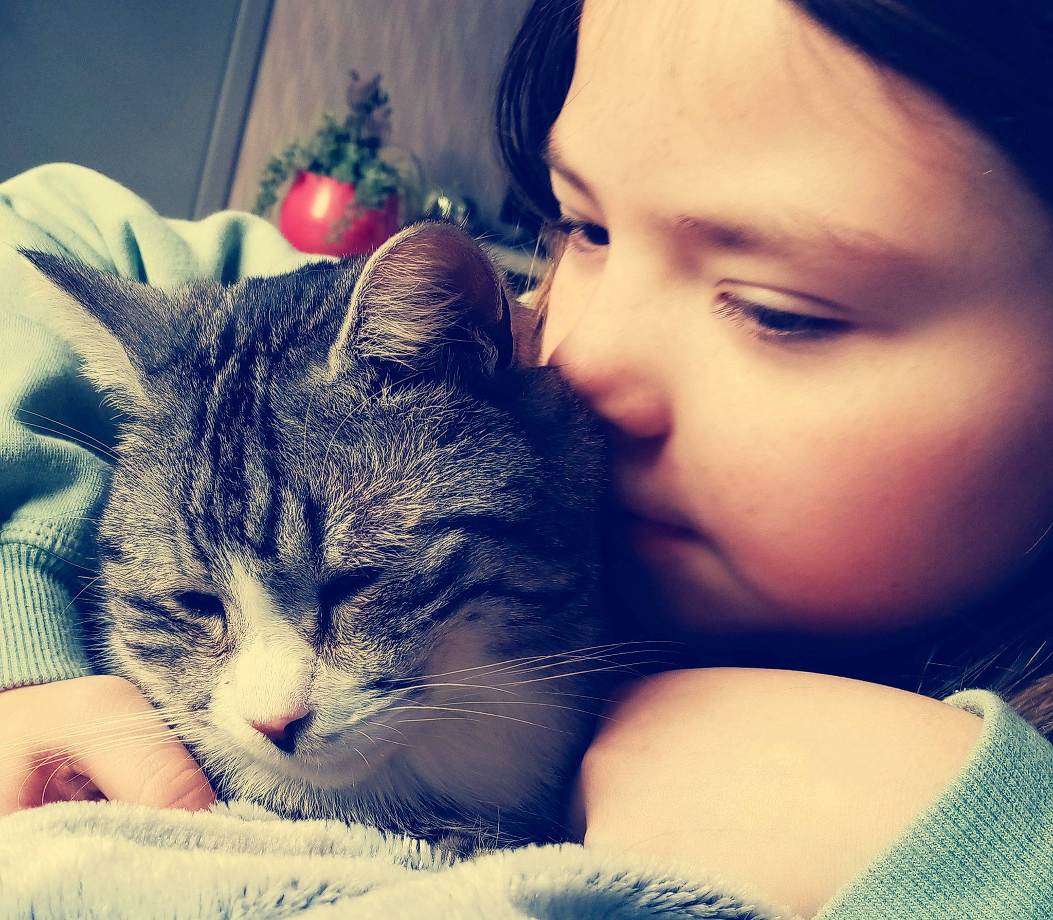 Choubaca participe au concours pour gagner de l'argent avec cette photo : blue, carnivore, cat, comfort, ear, eye, facial_expression, felidae, gesture, hand, happy, light, mammal, mouth, nose, organ, skin, small_to_medium_sized_cats, sunlight, vertebrate