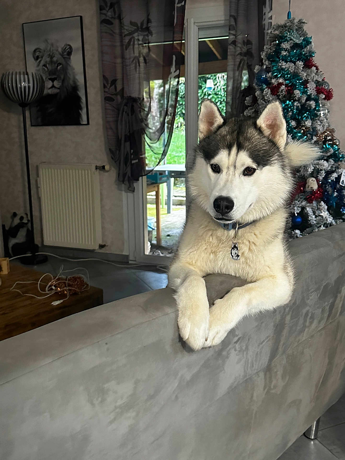 Usko