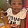 Kennedi