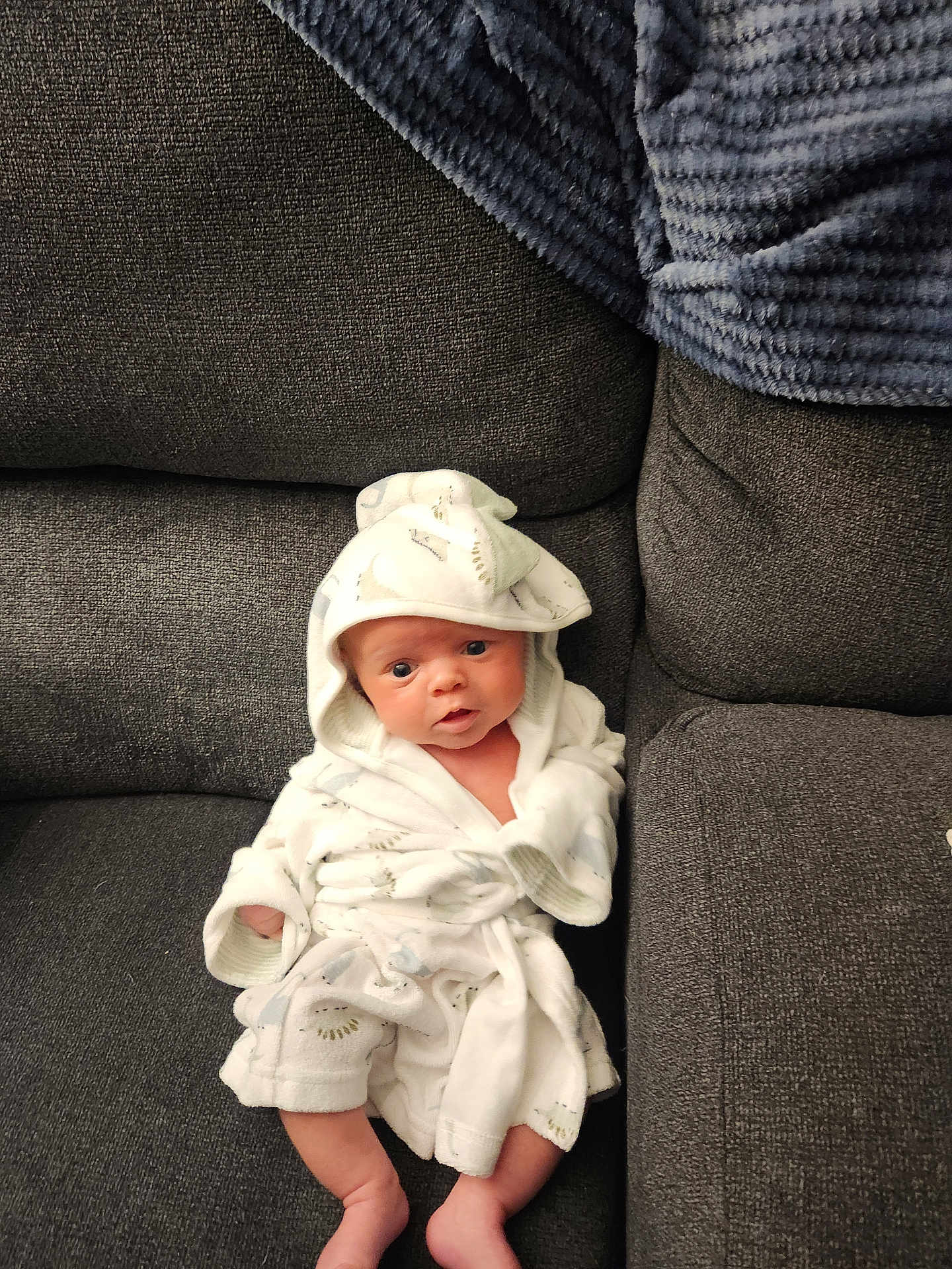 Zachariah joined the competition — help win amazing prizes! baby, infant, robe, hooded_clothing, couch, sofa, gray_fabric, blanket, seated, indoors, cute, small, cozy, comfortable, furniture, child, face, expression, legs, human