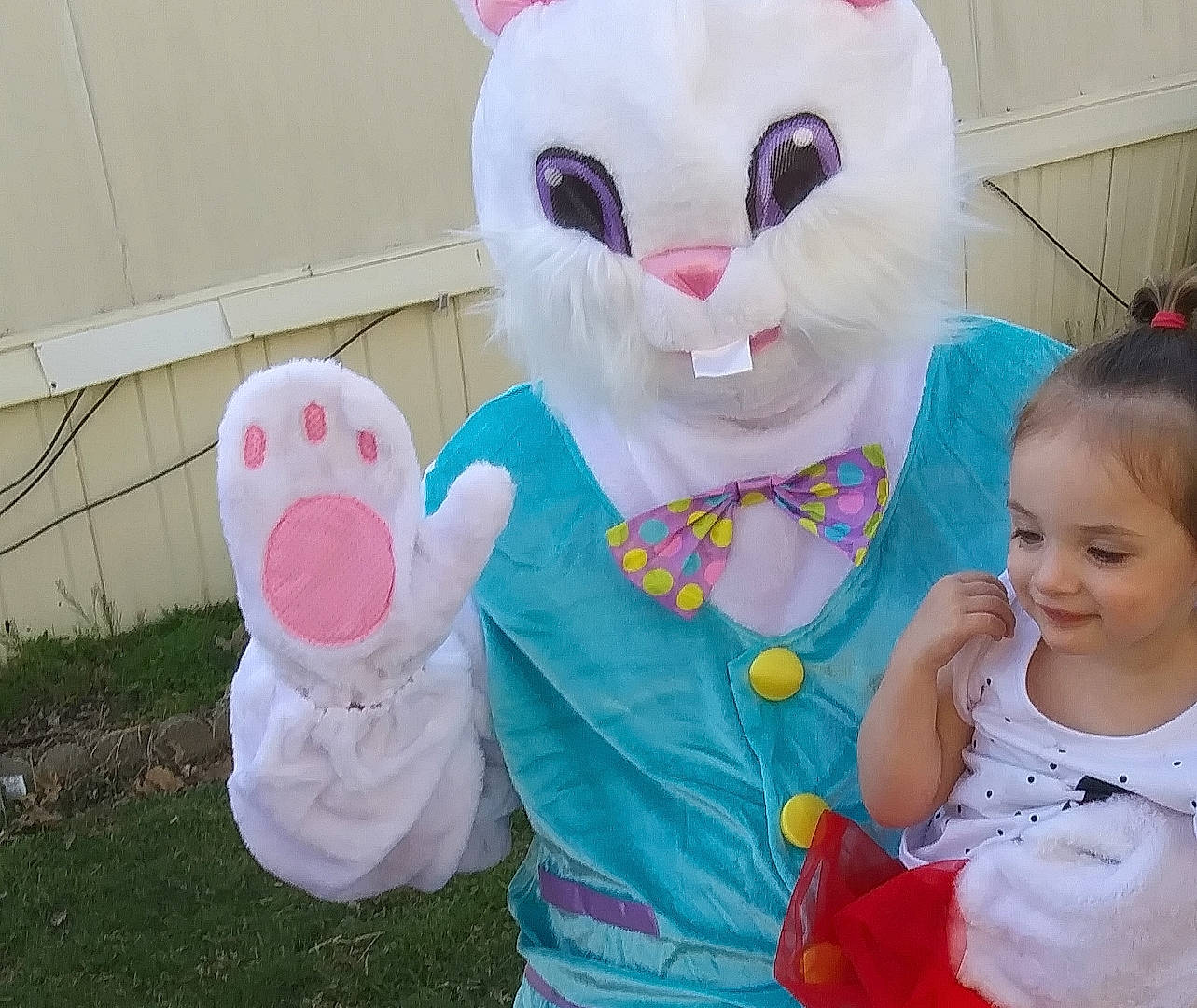 Mia is registered to the contest to win money with this photo: baby_toddler_clothing, child, clothing, eye, felidae, fur, grass, happy, joy, mascot, person, pink, plush, rabbit, smile, stuffed_toy, textile, toddler, toy, vertebrate