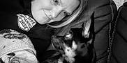 Chopper is registered to the contest to win money with this photo: woman, dog, black_and_white, couch, blanket, portrait, indoor, pet, face, leisure, comfort, closeup, furniture, canine, snuggle, relaxation, expression, hair, clothing, seated