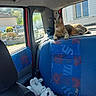 animal, back_seat, blue_seat, car_interior, cat, daytime, furniture, greenery, house_outside, indoor, patterned_fabric, pet, plush_toy, relaxed, resting, seatbelt, sunlight, tabby_cat, vehicle, window