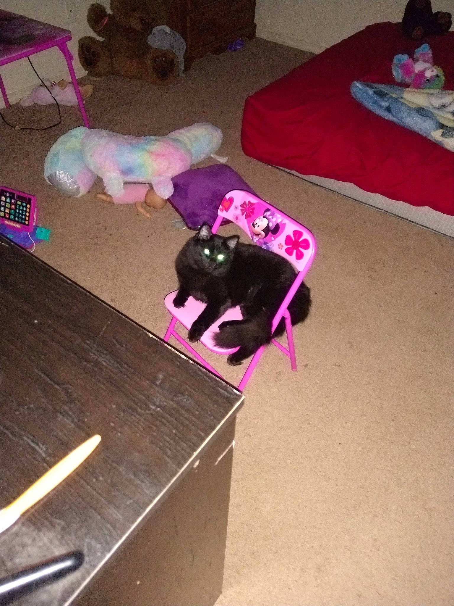 Charms is registered to the contest to win money with this photo: canidae, carnivore, dog, dog_breed, fawn, floor, magenta, non_sporting_group, pink, sporting_group