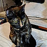 cat, tortoiseshell_cat, pet, animal, sitting, portrait, indoors, storage_room, shelf, blanket, cushion, white_sheet, blue_container, furniture, household_items, yellow_eyes, whiskers, upright_posture, long_tail, photography