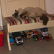 Minou participe au concours pour gagner de l'argent avec cette photo : cat, sleeping, bench, striped_cushion, toy_trucks, toy_cars, floor, indoor, furniture, pet, relaxing, fluffy, animal, home, quiet, resting, collection, police_truck, red_bucket, toys