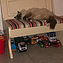 cat, sleeping, bench, striped_cushion, toy_trucks, toy_cars, floor, indoor, furniture, pet, relaxing, fluffy, animal, home, quiet, resting, collection, police_truck, red_bucket, toys