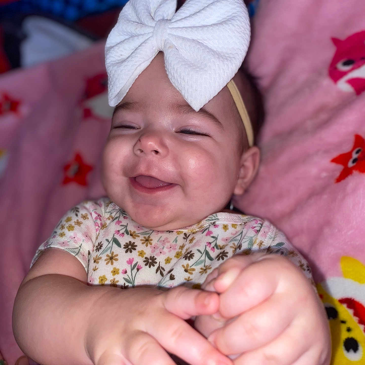 Octavia joined the competition — help win amazing prizes! accessories, animal, baby, babylaughing, bodypart, cat, face, finger, hand, happy, head, jewelry, laughing, newborn, person, pet, photography, portrait, quilt, smile