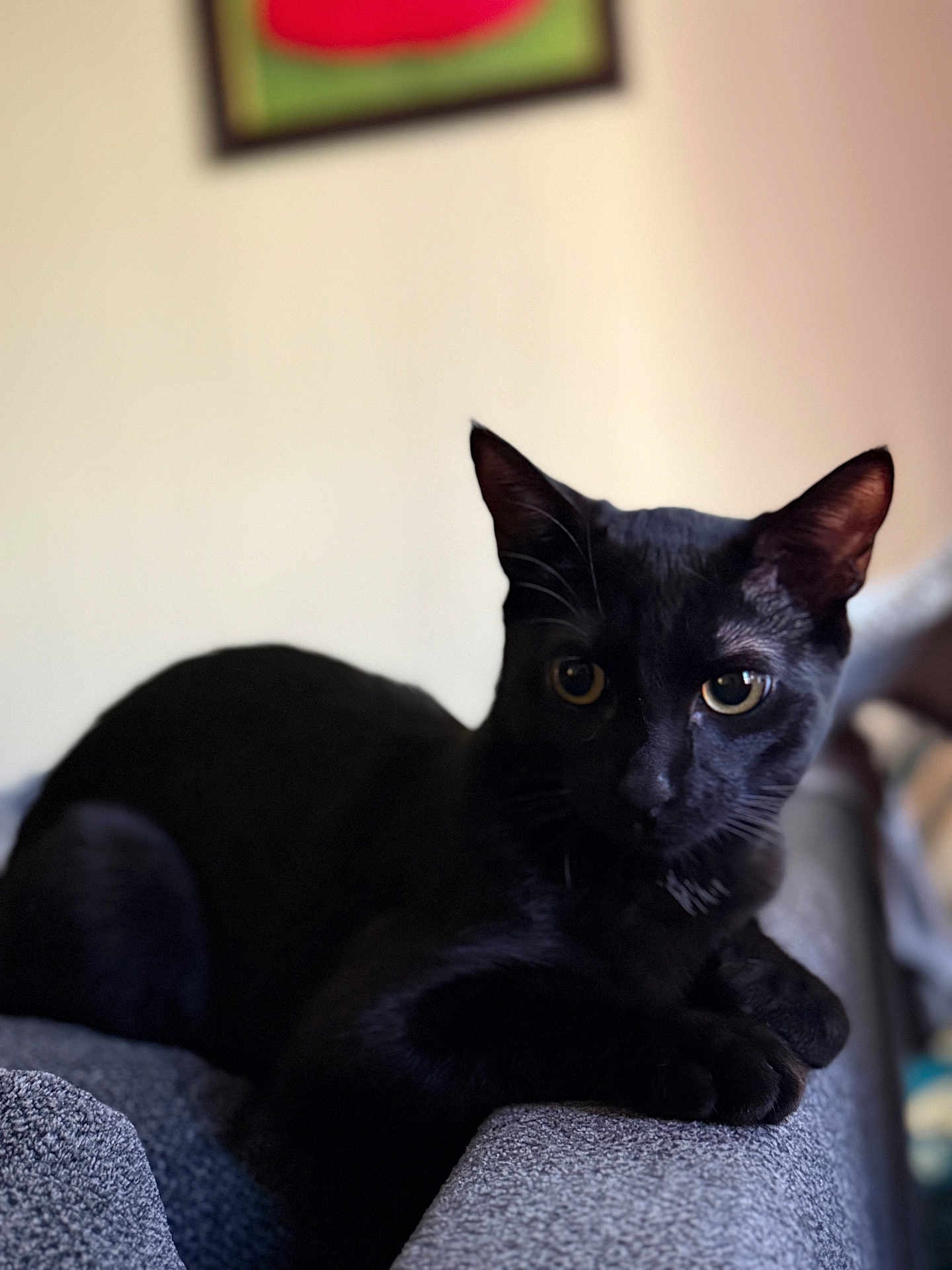 Salem