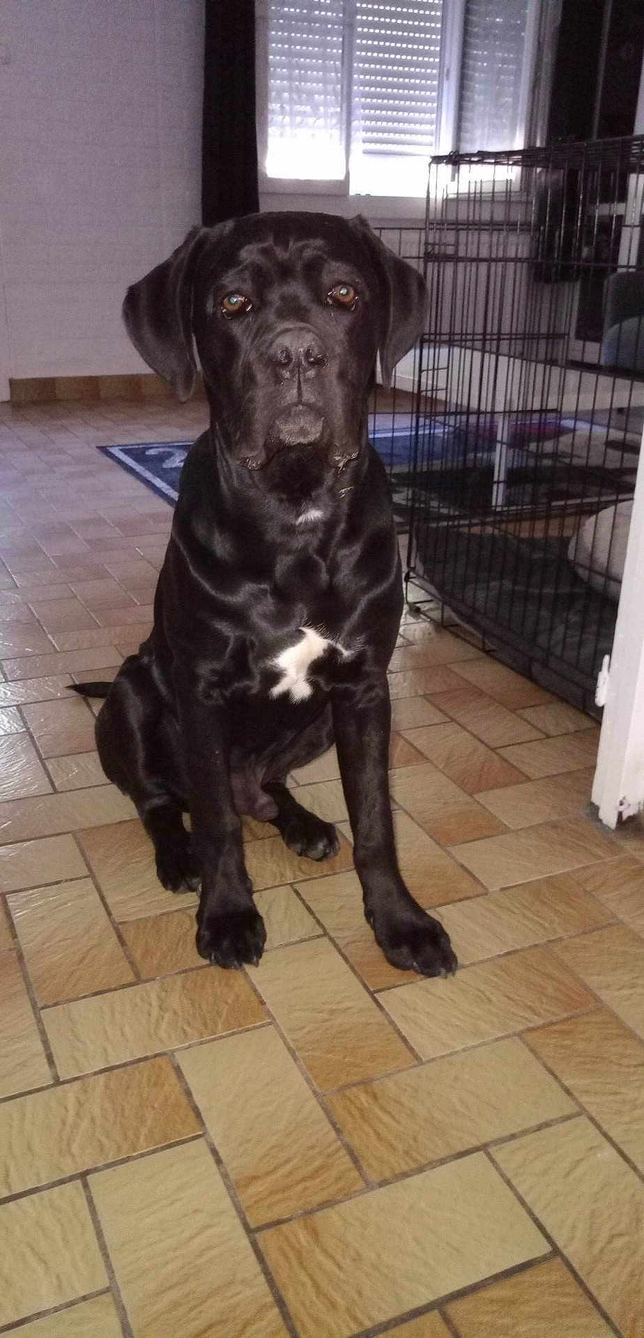 Tyson